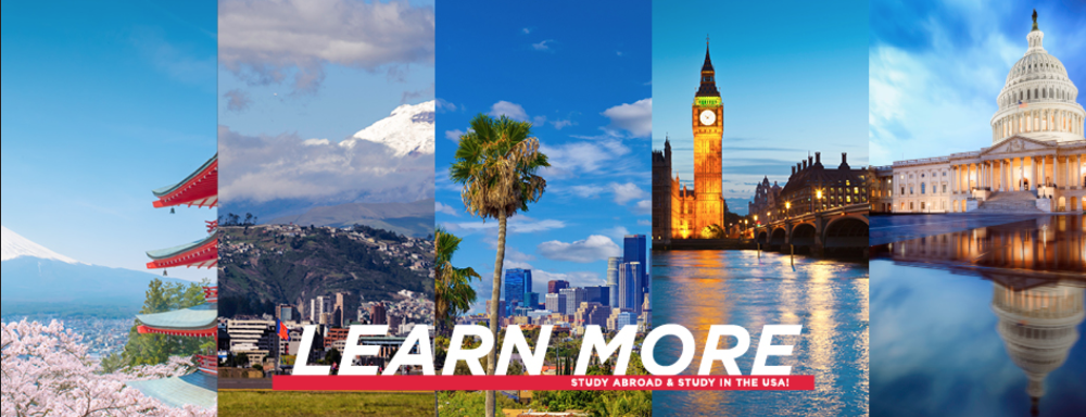 Learn More Banner Learn More Banner